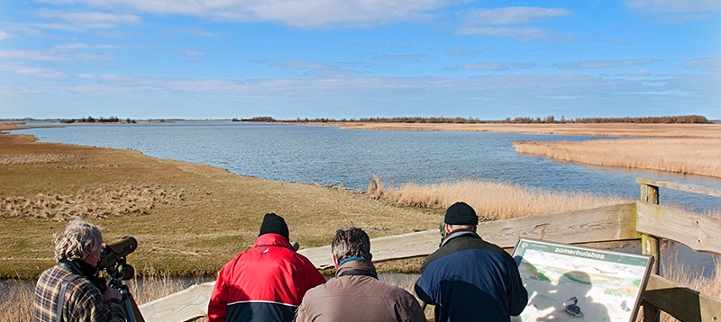 65 Lauwersmeer-vogelaars MvK.jpg